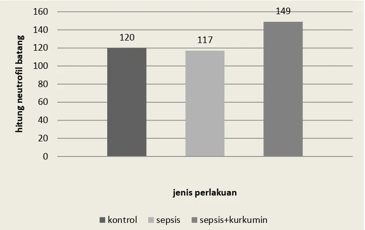 Tabel 4.1. Persentase rata-rata hitung neutrofil batang 