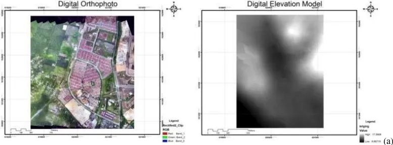 Figure 4(b). Figure 4(a) shows the product of digital orthophoto 