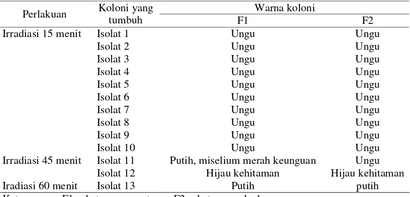 Tabel 2. Karakteristik jamur FOL setelah diradiasi oleh sinar UV pada berbagai waktu irradiasi