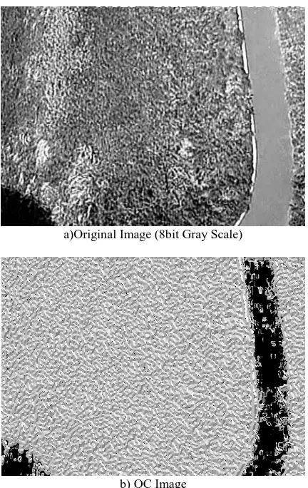 Figure 4 shows the example of OC image. From this image, it is understood that the OC image is independent from the changing brightness and also OC image describe the important feature of image