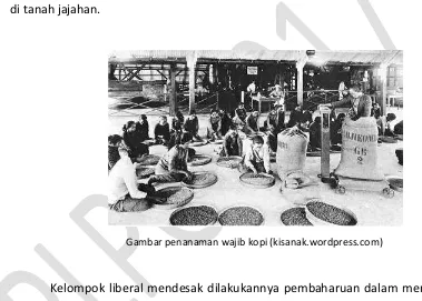 Gambar penanaman wajib kopi (kisanak.wordpress.com) 