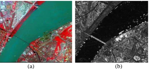 Figure 1. Images of study area, (a) is the Standard false-color  