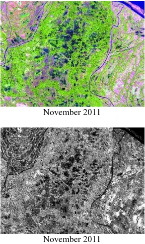 Figure 3: Top: ETM+ Image RGB= bands 5,4,3 from November 2011; Bottom: ENVISAT ASAR APS HV processed data from November 2011  