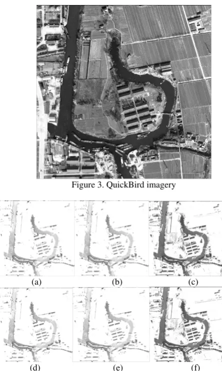 Figure 3. QuickBird imagery 