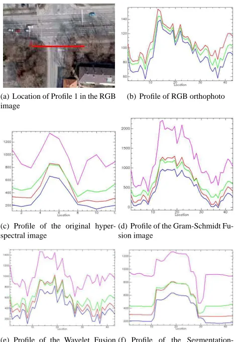 Figure 6: RGB channels of the Segmentation-based Fusion image