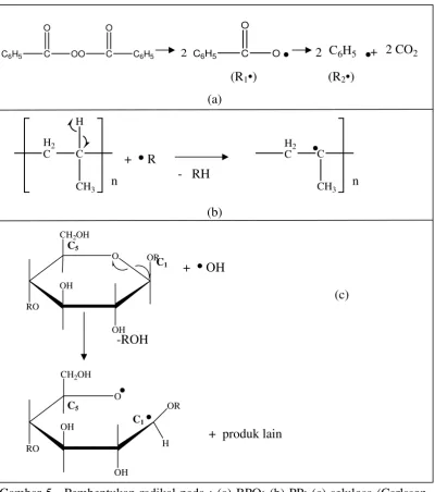 Gambar 5 . Pembentukan radikal pada : (a) BPO; (b) PP; (c) selulosa (Carlsson, 2005) 