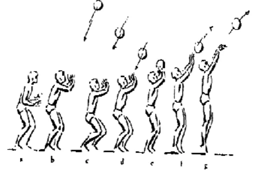 Gambar 1. Tahap-tahap melakukan overhead  volley 