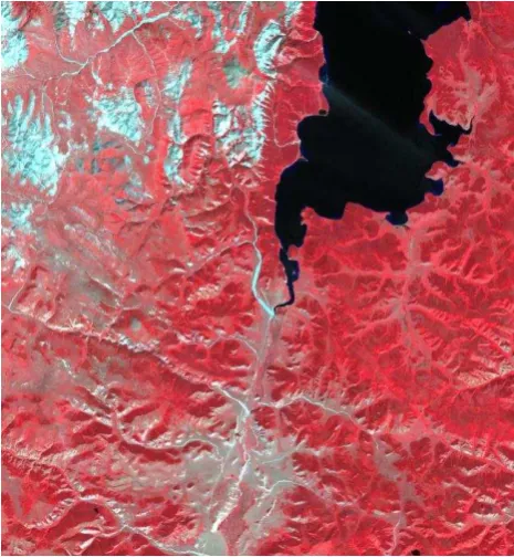Figure 1. Landsat ETM+ image of the test area (R=B4, G=B3, B=B2).  