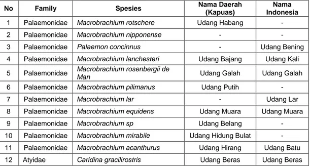 Tabel 1.  Spesies udang yang ditemukan di Sungai Kapuas Murung Desa  Pulau Telo Kecamatan Selat Kabupaten Kapuas 