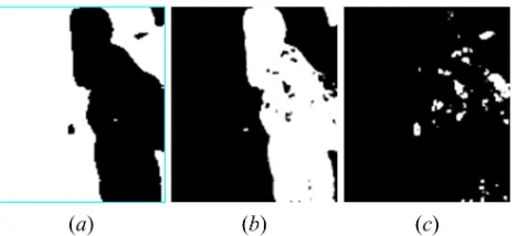 Figure 4. The fractional abundance derived from spatial  interpolation-based spectral unmixing, where magnification factor was set to four (a) water, (b) bare soil / deciduous tree and (c) evergreen tree  