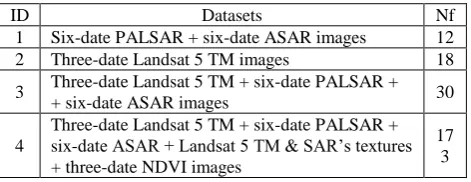 Figure 3. Landsat 5 TM+ images (false colour) acquired on 10/09/2010  
