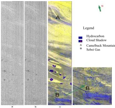 Figure 2.  Extraction of Hydrocarbon Seeps  