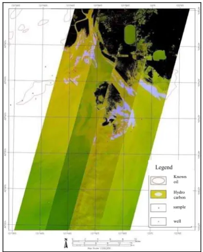 Figure 6. Hydrocarbon information extracted from Hyperion image by SAM 