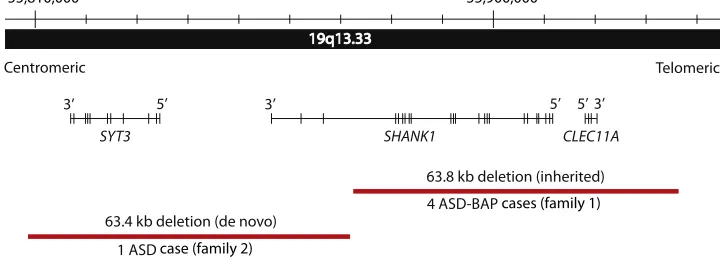 Figure 2.Rare Deletions atsequencing across the breakpoints and are Chr 19: 55,872,189–55,935,995 (hg18)