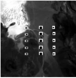 Fig. 2. Target panels in the AVIRIS image. 