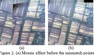Figure 2. (a) Mosaic effect before the mismatch points 