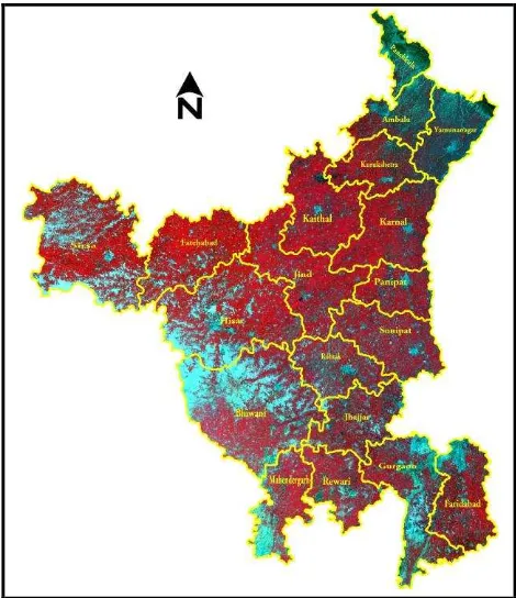 Figure 2. Haryana state as viewed by satellite 