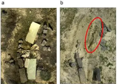 Figure 7 is caused by the cleaning works performed in archaeological intervention. These works mainly consisted on the extraction of the accumulated vegetation