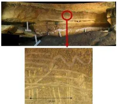 Figure 3. Example of recording in the cave with the TLS FARO Focus 3D, with the overall meshed model on the right