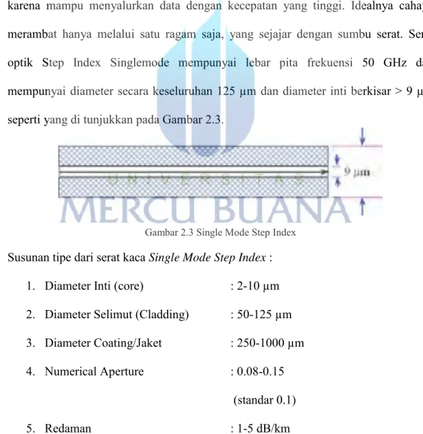 Gambar 2.3 Single Mode Step Index 