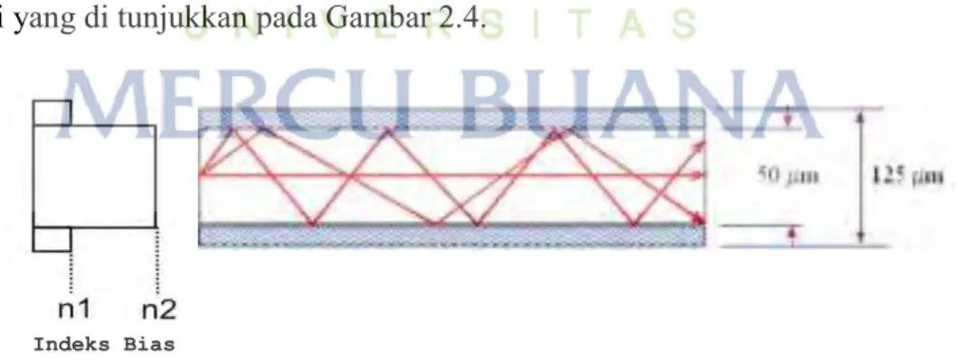 Gambar 2.4 Multi Mode Step Index 