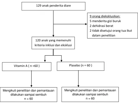 Gambar 4.1. Profil penelitian 