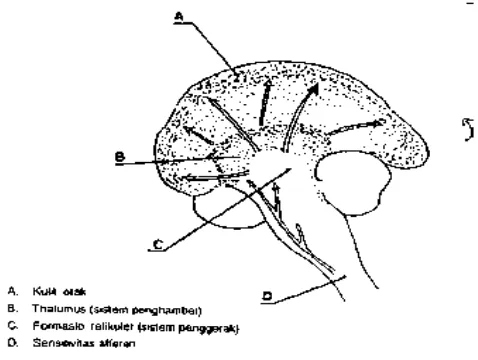 Gambar 2.2. Sistem penghambat dan penggerak kelelahan 