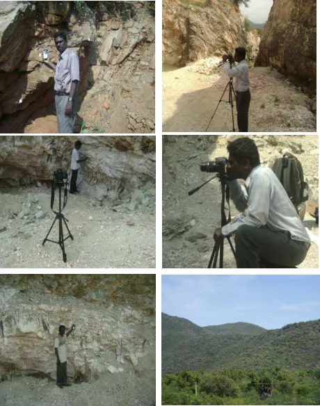 Figure 7: Field Photos 