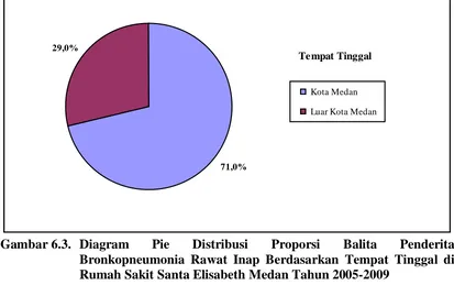 Gambar 6.3.  Diagram Bronkopneumonia Rawat Inap Berdasarkan Tempat Tinggal di 