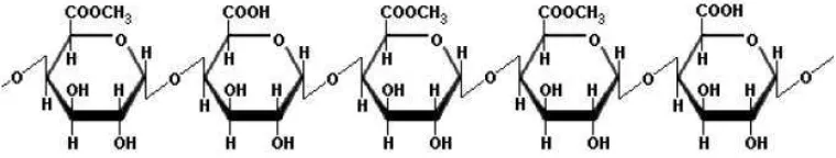 Gambar 2.3 Struktur Kimia Asam Poligalakturonat 