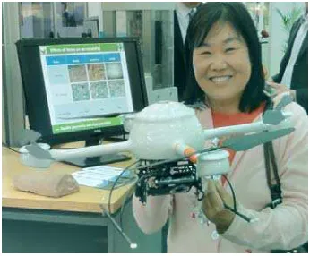 Figure 8. Of course real models also belong to the principals of 3D visualization, like here a terrain model, as carried out, by a 3D printer (courtesy Comp