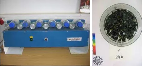 Figure 1: Rolling-bottle test. Left: rolling device. Right: sample for visual estimation