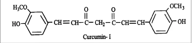 Gambar 2.1. Struktur Kimia Kurkumin (Chattopadhyay et al., 2004)