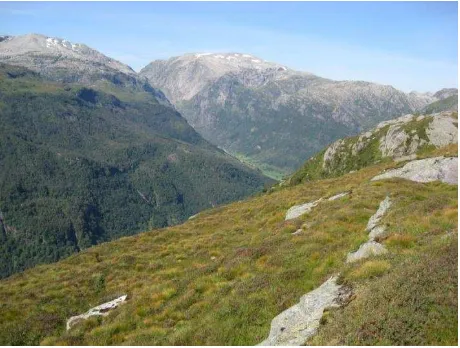 Figure 1. Typical mountain area in Norway. Photographer: Michael Angeloff, Skog og landskap