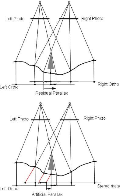 Figure 1.  Principles of stereo orthophoto generation. 