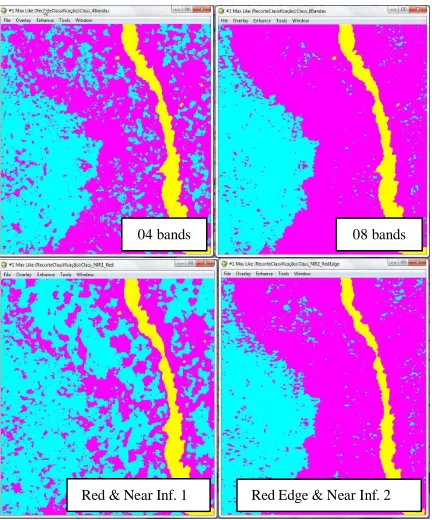 Figure 7: NDVI from the area under study.  