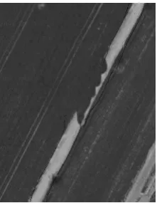 Figure 18: Extraction of Road Using Ribbon Snake and Ziplock Snake  