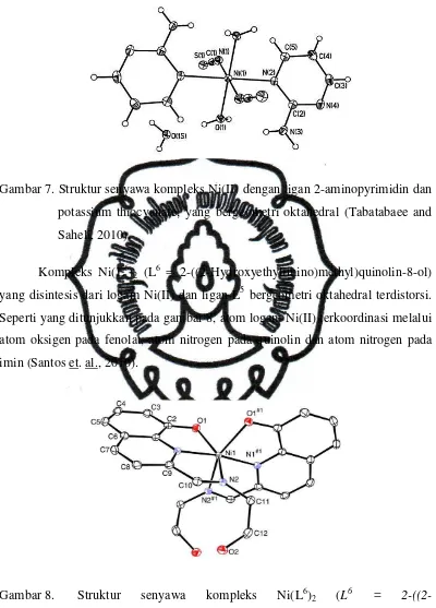 Gambar 7. Struktur senyawa kompleks Ni(II) dengan ligan 2-aminopyrimidin dan 