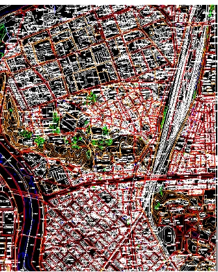 Figure 4. The reference digital map generated by aerial photo  over study area. 