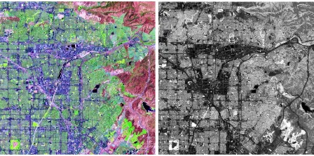 Figure 1 shows a small area of the original ETM+ 543 image and the resulting NDVI image after running the above script.