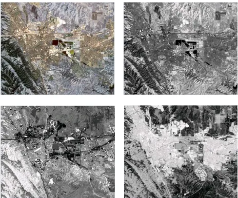 Figure 2. TM 123 Color Image (upper left), Brightness (upper right), 