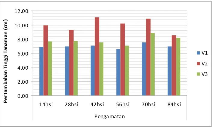 Tabel 5 : Uji Beda Rataan Pertambahan Tinggi Tanaman (cm) Pisang Pada Fakor                Kultivar Pisang (V) pada pengamatan 14-84 hsi 