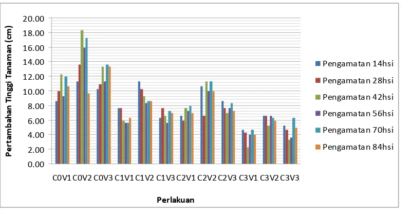 Gambar 12 : Histogram Rataan Faktor Interaksi Perlakuan Inokulum (C) dengan                      Kultivar Pisang  (V) Terhadap Pertambahan Tinggi Tanaman (cm)  