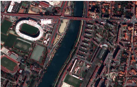 Figure 4. Example of Orfeo ToolBox algorithm results: Pan- sharpening and Line segment Detection on a Quickbird image of Toulouse, France