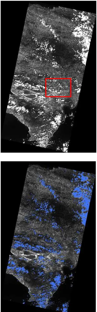 Figure 6. Zoom on the area highlighted in red in Figure 5.   (top) Initial images. (bottom) Clouds detected by the method are highlighted in blue