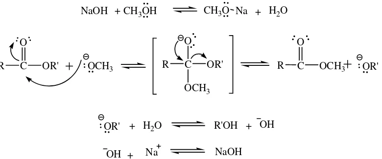 Gambar 2. Reaksi Transesterifikasi 
