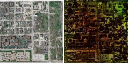 Figure 3. Orthophoto (left) and height colored lidar point cloud (right) of the study area