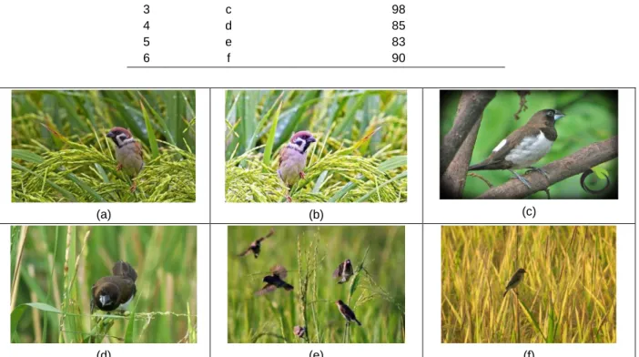 Tabel 2. Hasil Pengujian Vision Sensor 