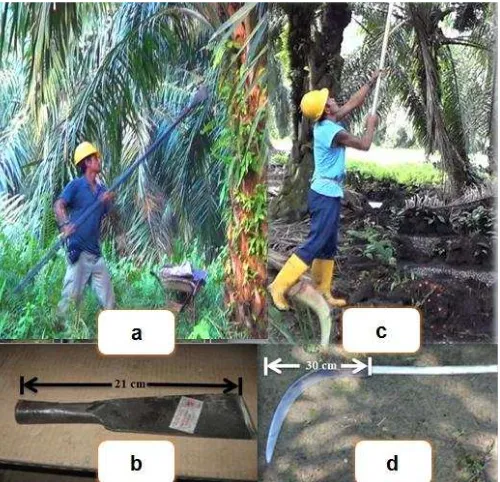 Tabel 1 Elemen-elemen kerja pada aktivitas pemanenan kelapa sawit 