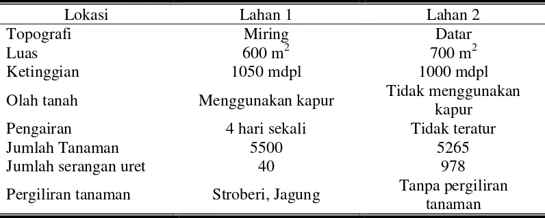 Tabel 2. Deskripsi lahan pertanaman stroberi pada lokasi 1 dan 2. 